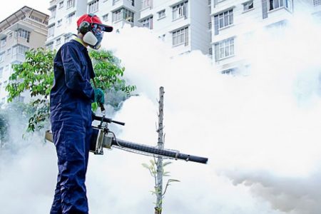 226201523037PMMosquito-Control-Service-Malaysia-1